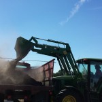 Steve-tractor-dump-bucket_web
